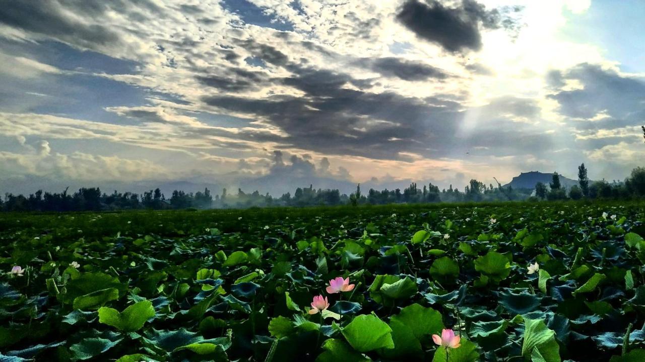 Green View Group Of Houseboats Hotel ศรีนาการ์ ภายนอก รูปภาพ