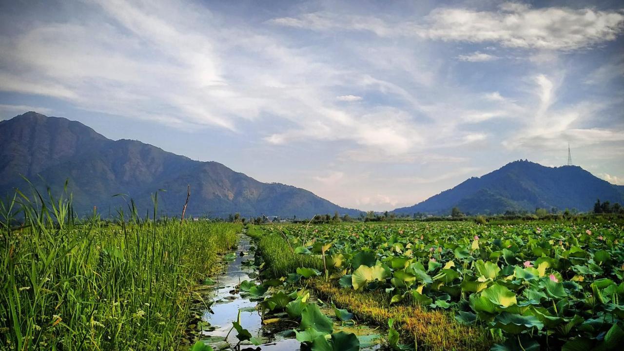 Green View Group Of Houseboats Hotel ศรีนาการ์ ภายนอก รูปภาพ